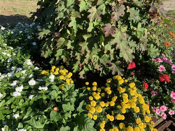 Springfield, MA 01118,547 Plumtree Rd