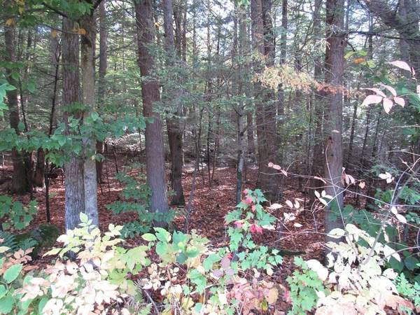 Chester, MA 01011,lot 10 Skyline Trail