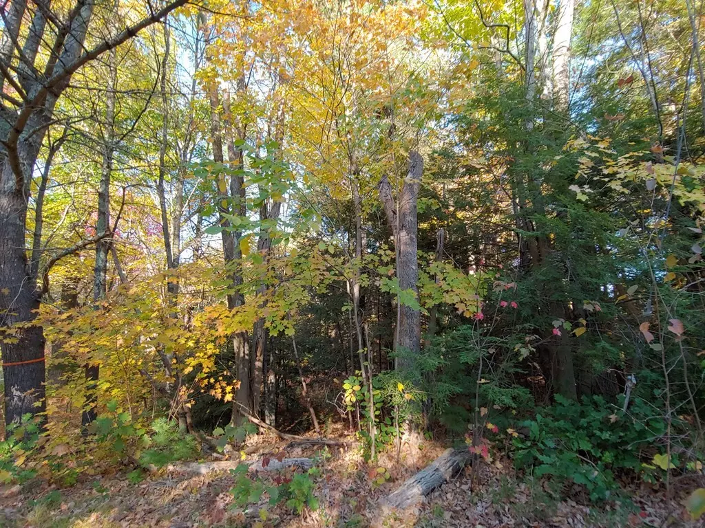 Brimfield, MA 01010,0 Apple Road Lot 1