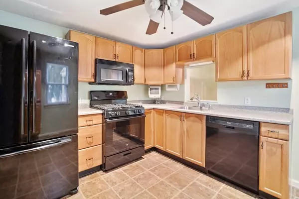 Springfield, MA 01104,18 Strong St