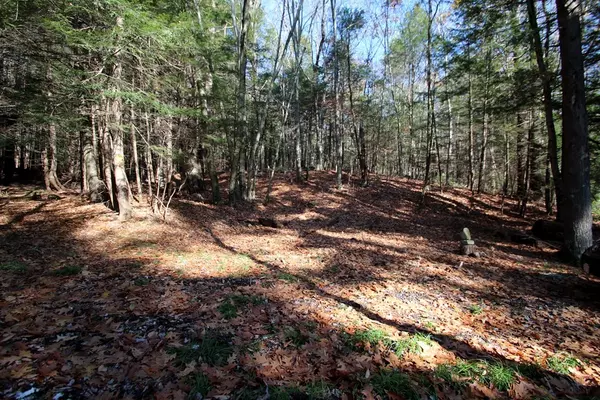 Wendell, MA 01379,0 Lockes Village Road