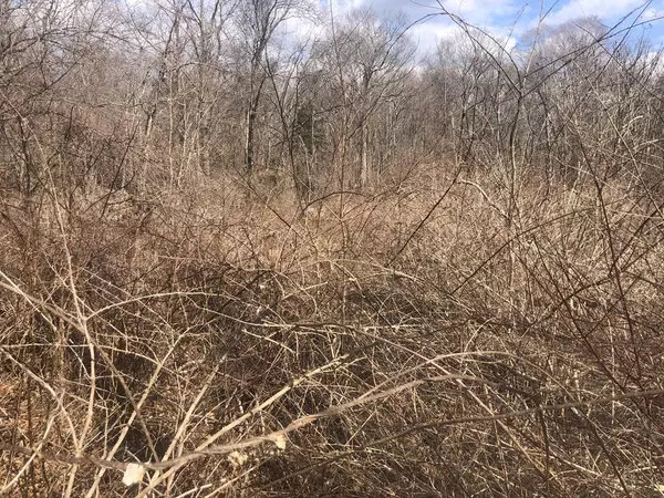 Taunton, MA 02780,0 Range Ave
