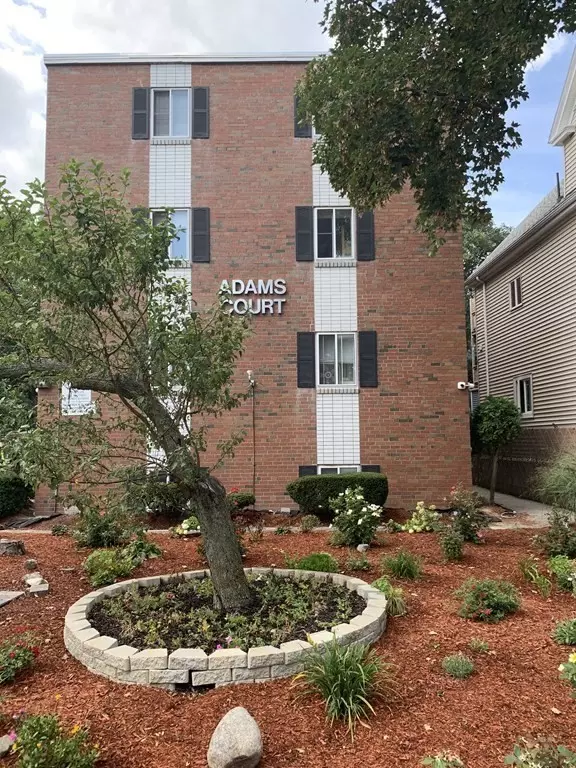 Boston, MA 02122,541 Adams St #37