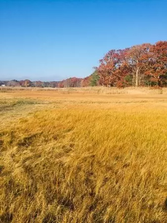 85 Rockport St, Marshfield, MA 02050