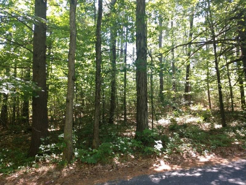 Lot 1 Merrifield Rd, Bernardston, MA 01337