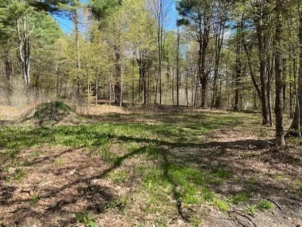 Bernardston, MA 01337,0 Keets Brook Road - Parcel C