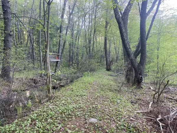 Sutton, MA 01590,14.5,16,20 Main St