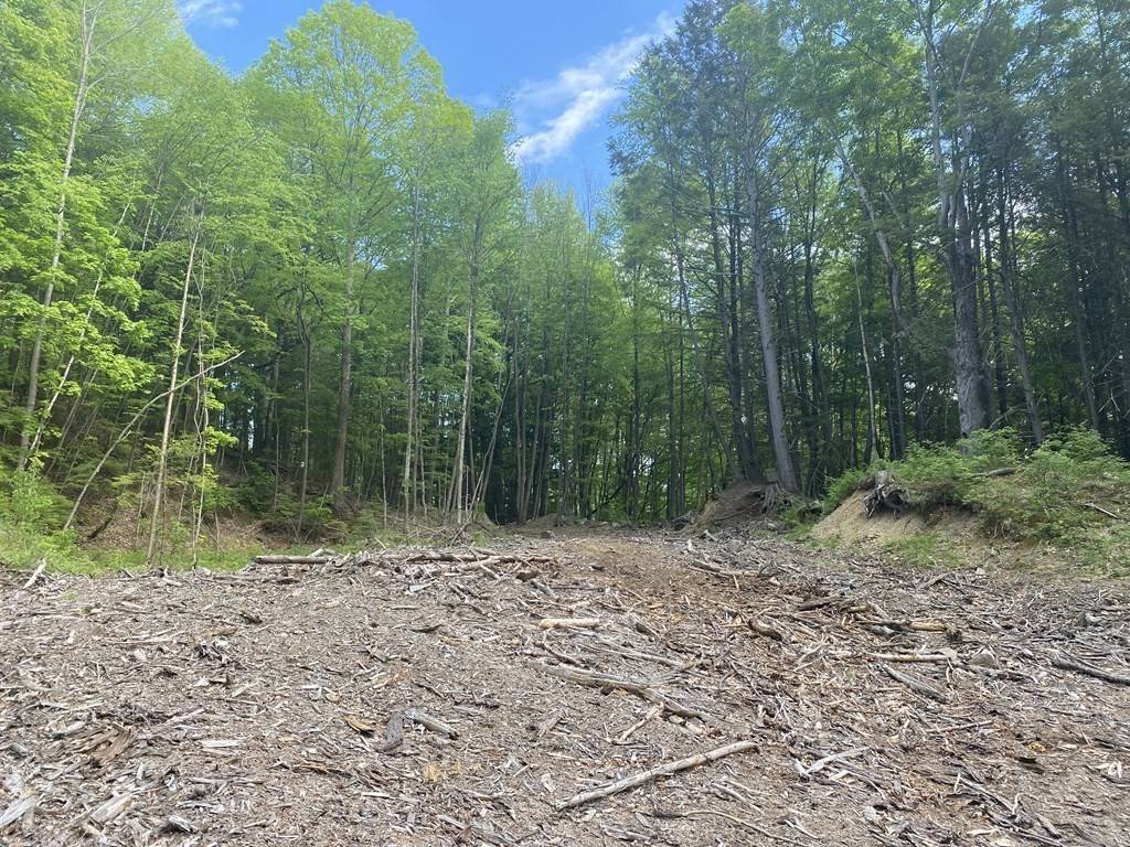 000 Bray Rd, Buckland, MA 01370