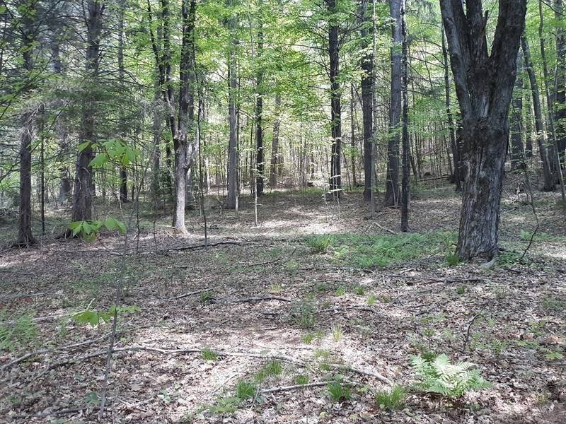 Lot 189 Amherst Rd, Leverett, MA 01054