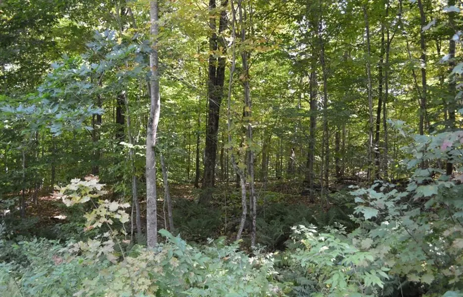 Lot 67 Moberg Road, Becket, MA 01223