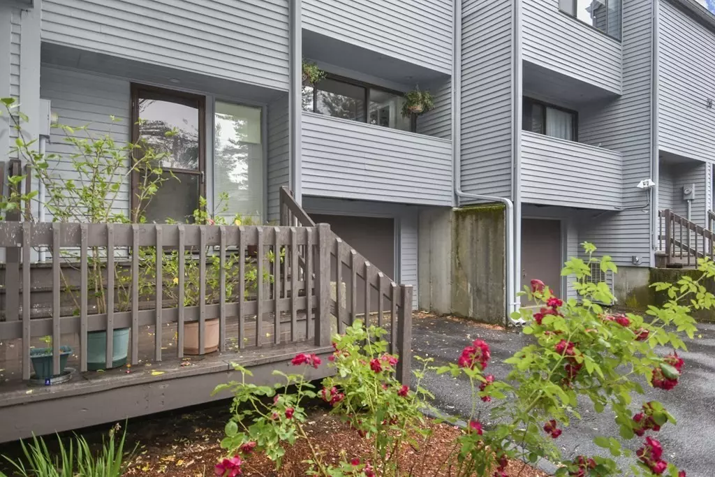 Acton, MA 01718,392 Pine Cone Strand #392