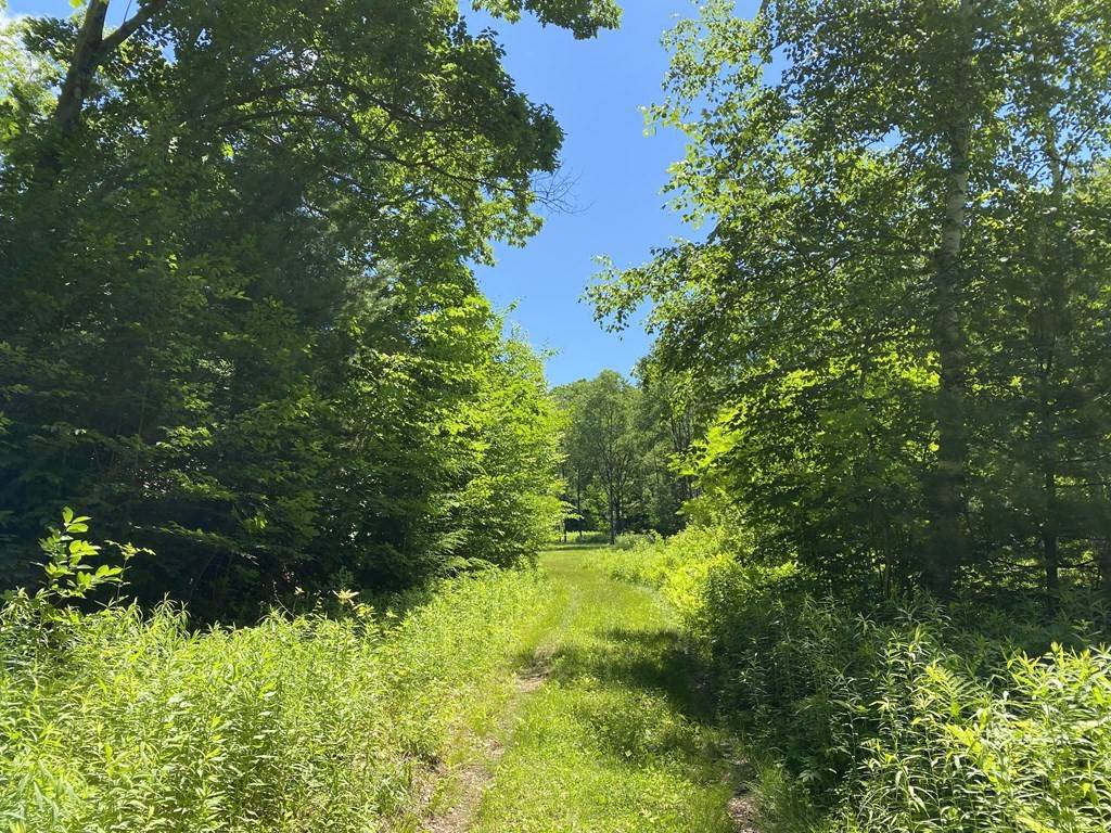 Buckland, MA 01338,155 East Buckland Road