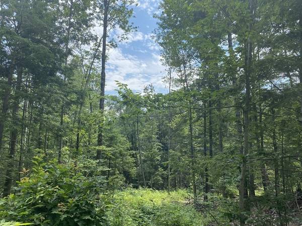 Lot 1 Howes Rd, Buckland, MA 01338