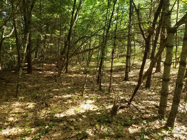 Lot 69 Halfrey Road, Hubbardston, MA 01452