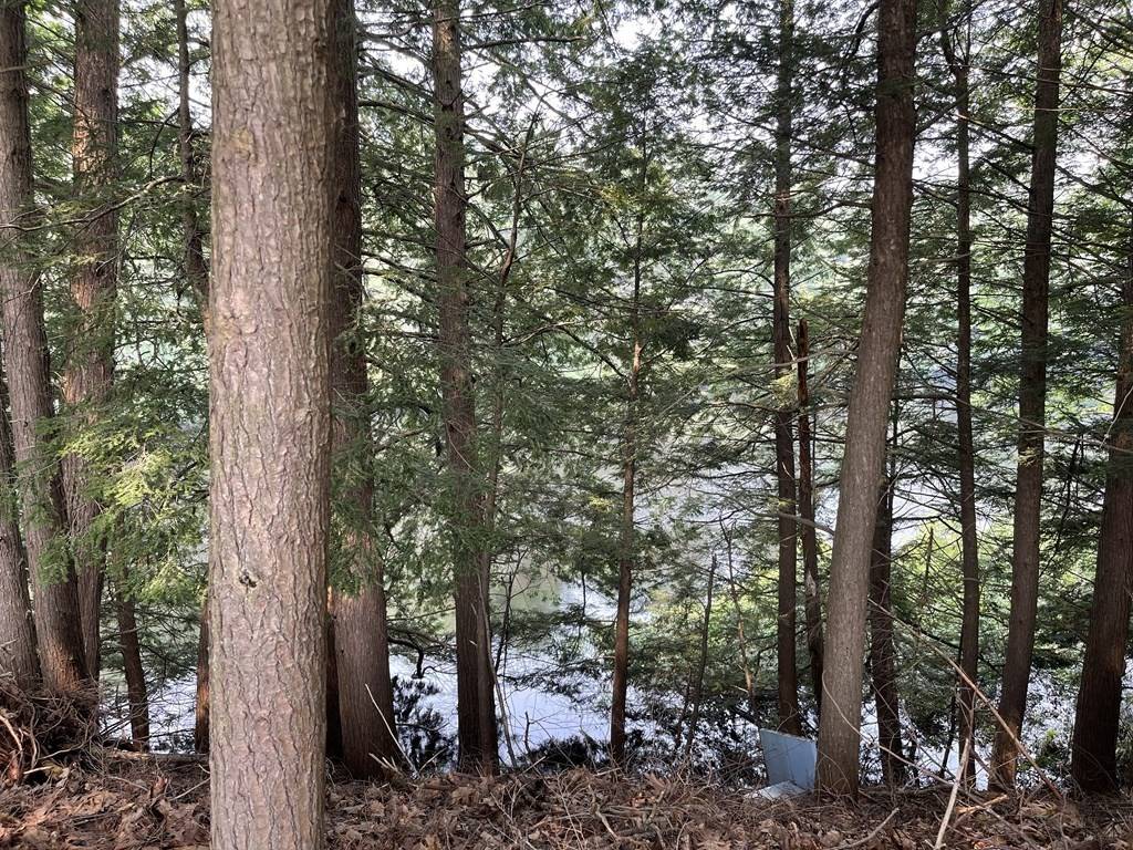 Athol, MA 01331,133 Millers River Dr.
