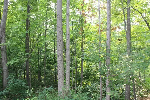 Montague, MA 01349,0 E Chestnut