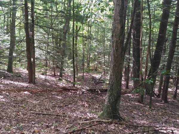 Lot 1 Ferncliff Ave, Northfield, MA 01354