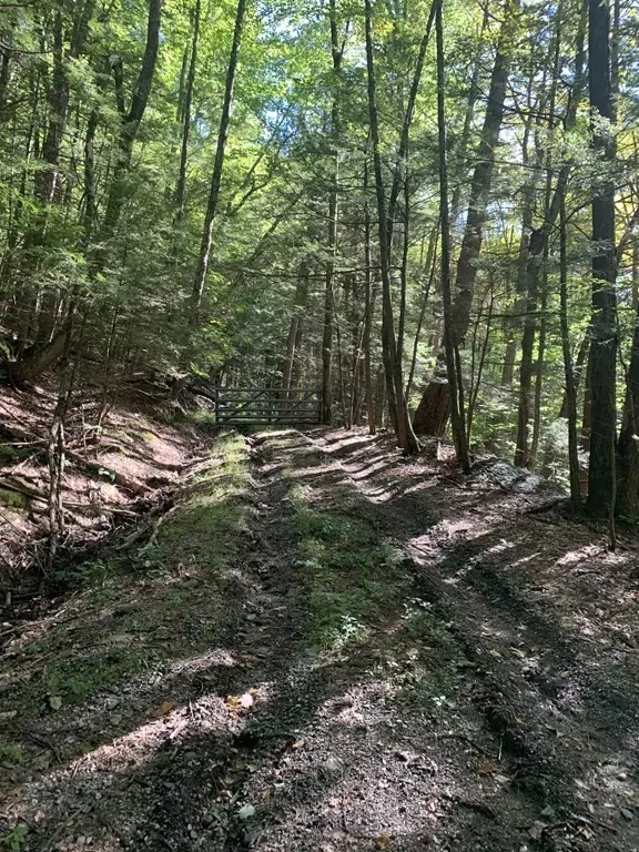 Northfield, MA 01360,0 Pratt Hollow Rd