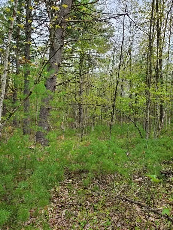 Belchertown, MA 01007,0 Michael Sears Rd L