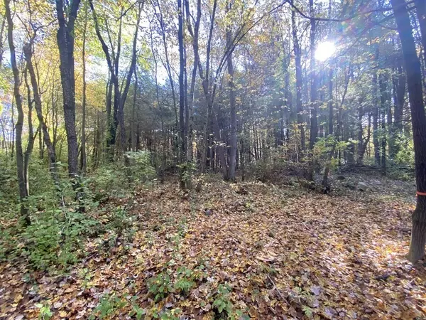 Belchertown, MA 01007,0 Michael Sears Rd Lot 2b