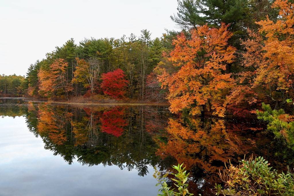 13 Lakeside Dr, Plainville, MA 02762