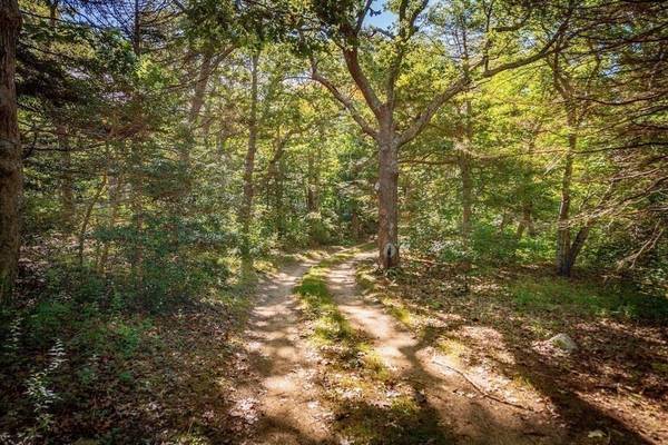 West Tisbury, MA 02575,48 Forest Road