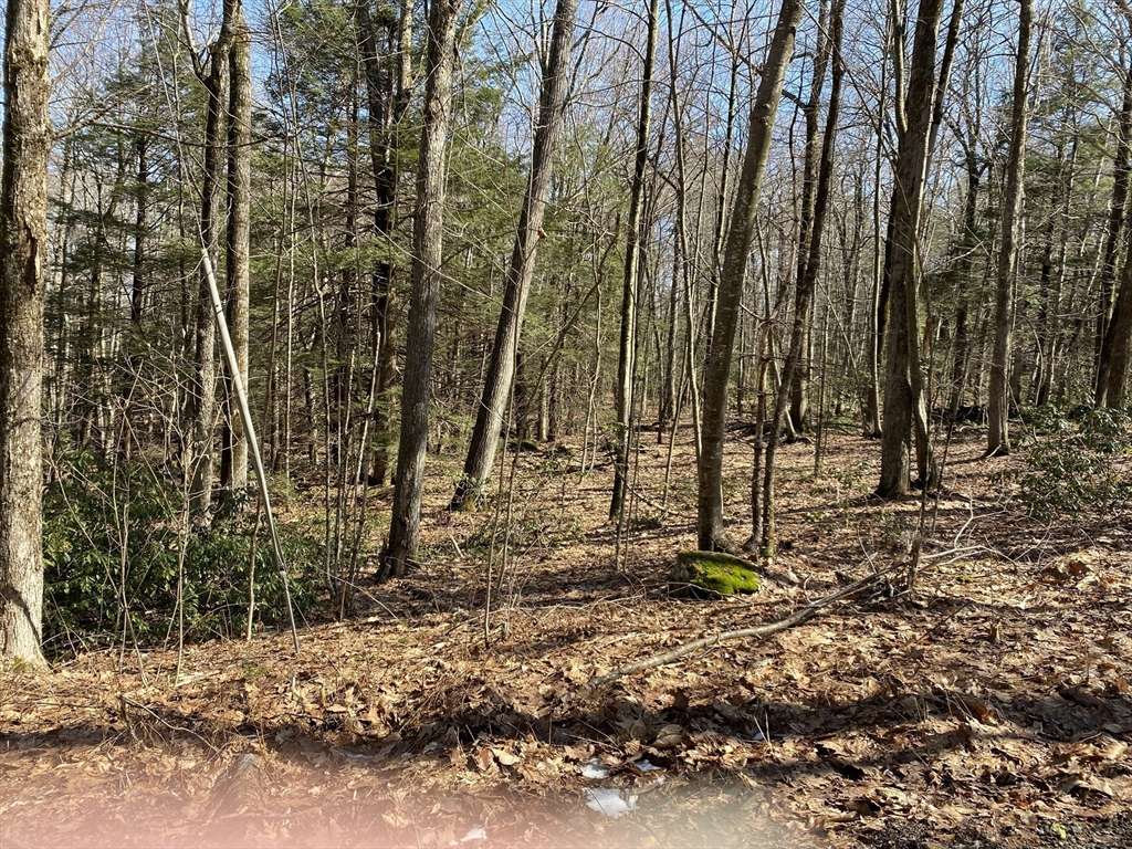 Lot 55 Wendell Rd, New Salem, MA 01355