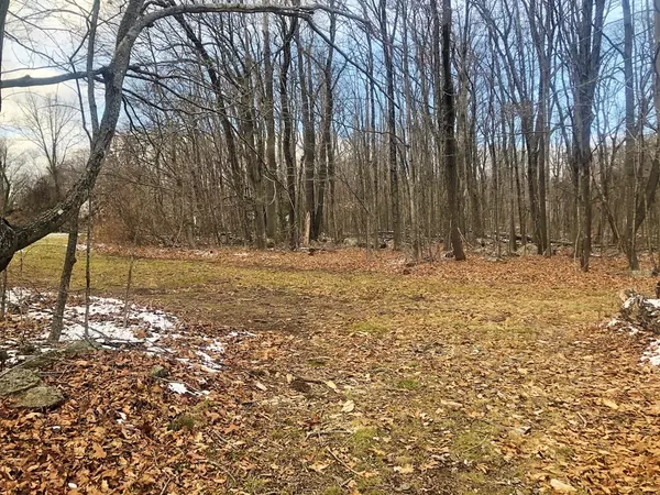 Petersham, MA 01366,30 Spring St