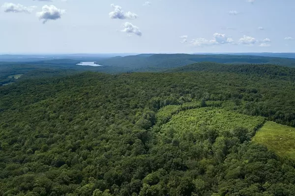 Westhampton, MA 01027,Lot 4 Blueberry Lane