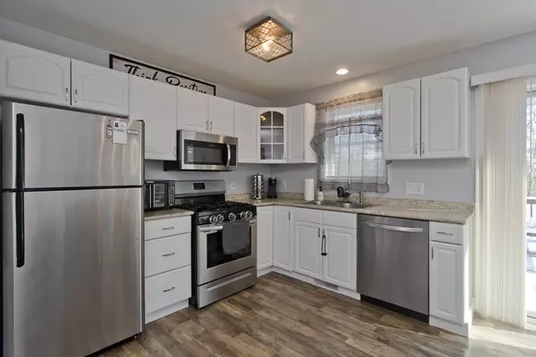 Springfield, MA 01119,73 Wilmington St