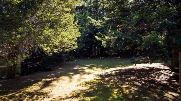 Sandwich, MA 02537,38 Roos Rd