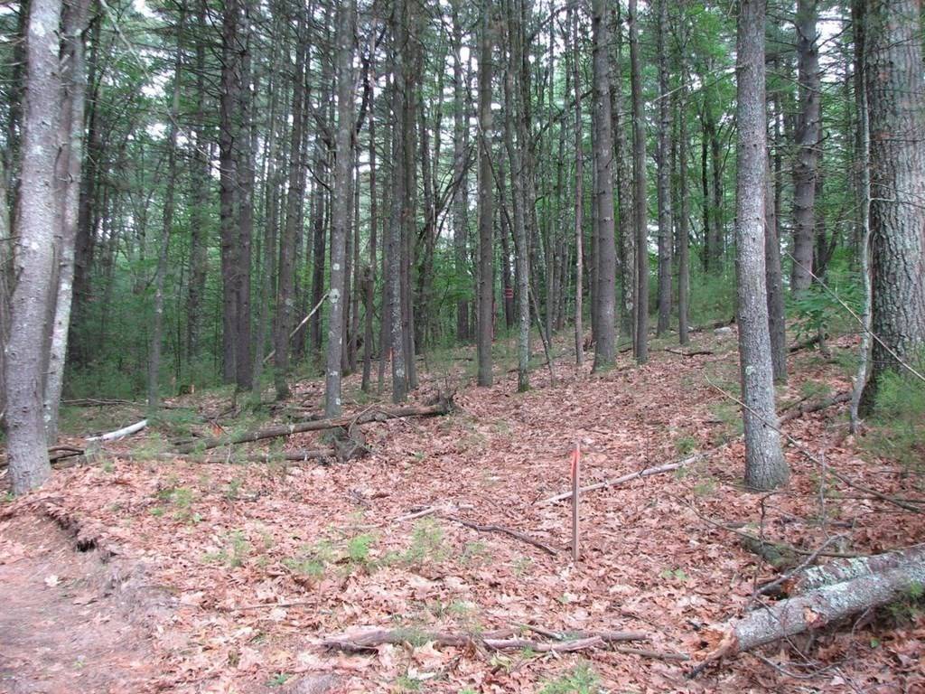 Pelham, MA 01002,58 Buffam Rd