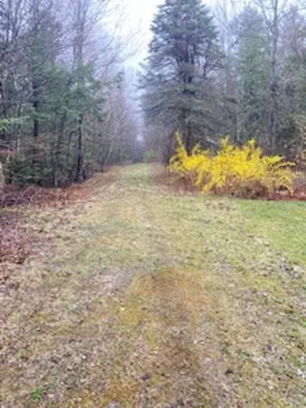 Becket, MA 01233,Lot 49 Castle Lane