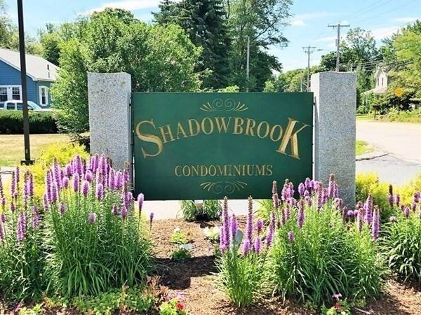 16 Shadowbrook Lane #31, Milford, MA 01757