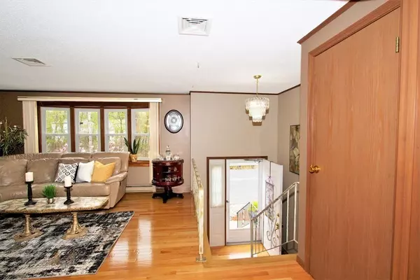 Lynn, MA 01904,255 Cedar Brook Rd