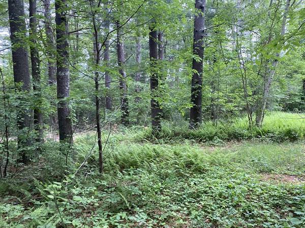 Lot 2, 58 Doctor Braley Rd, Freetown, MA 02717