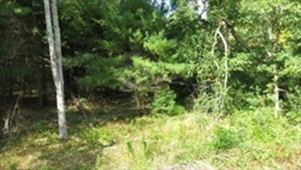 Carver, MA 02330,Lot 13B-R South Main St.