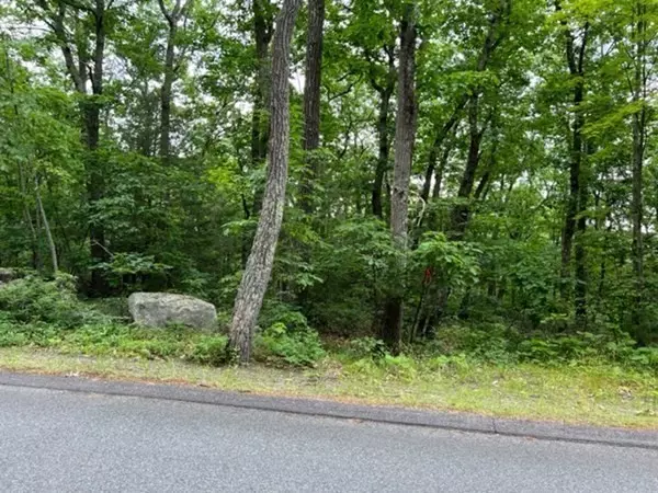 Southampton, MA 01073,85 Maple St