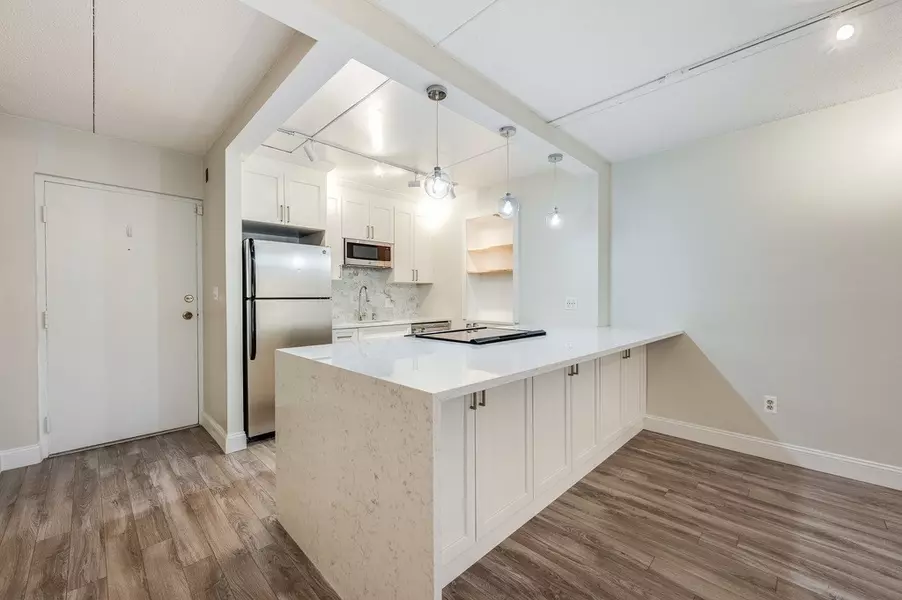 50-56 Broadlawn Park #111, Boston, MA 02467