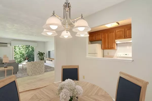 Randolph, MA 02368,159 Bittersweet Ln #135