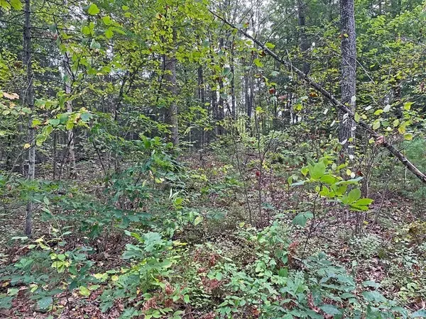 Montague, MA 01351,21 Fosters Road