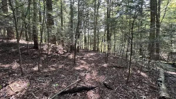 Becket, MA 01223,0 Quarry Rd