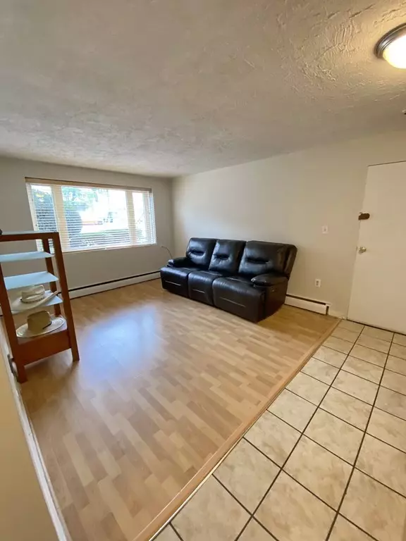 Watertown, MA 02472,62 Carey Ave #2