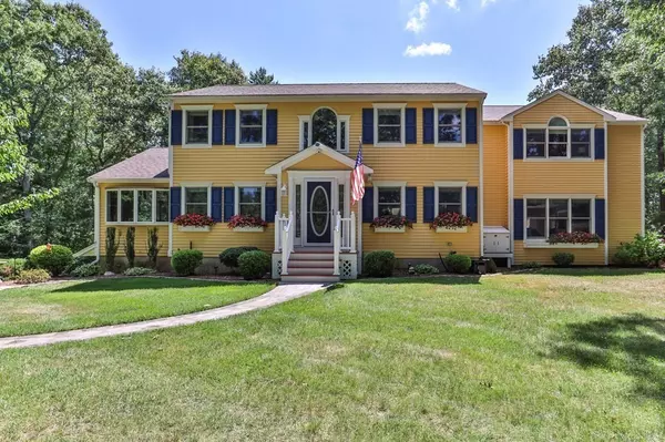 Wareham, MA 02576,7 Holly Tree