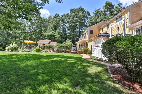 Wareham, MA 02576,7 Holly Tree