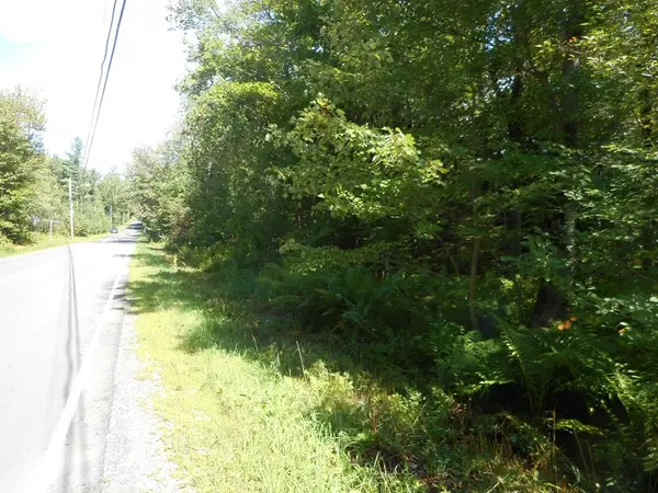 Lot 0 Otis-Tolland Rd, Blandford, MA 01008