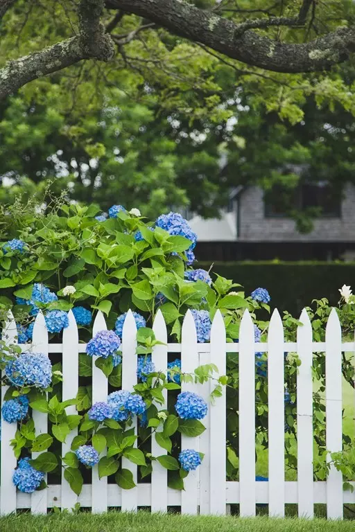 Nantucket, MA 02554,4 Westerwick