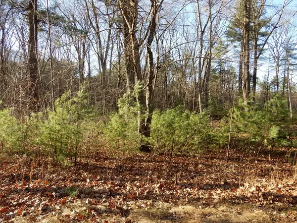 West Brookfield, MA 01585,253 New Braintree Rd