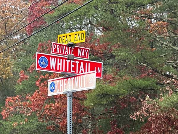 Middleboro, MA 02346,0 White Tail Ln Lot 8