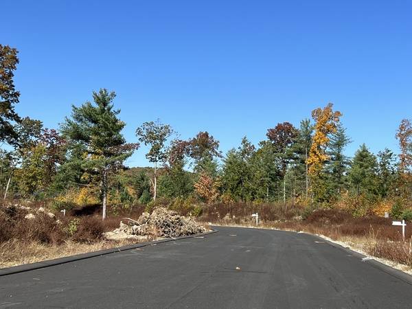 Lot 81 Balsam Hill Road, Ludlow, MA 01056